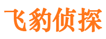 浦口侦探